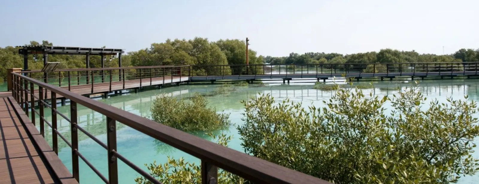 Jubail Mangrove Park - Boardwalk Experience