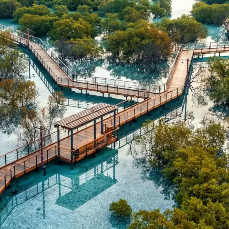 Jubail Mangrove Park - Boardwalk Experience