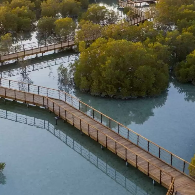 Jubail Mangrove Park - Boardwalk Experience
