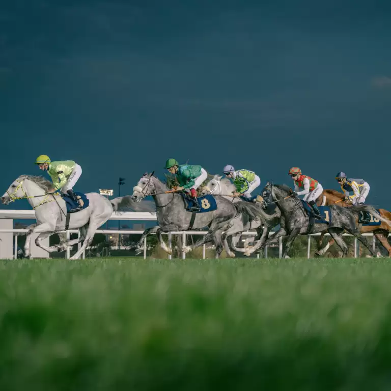 The Garden at Abu Dhabi Turf Club