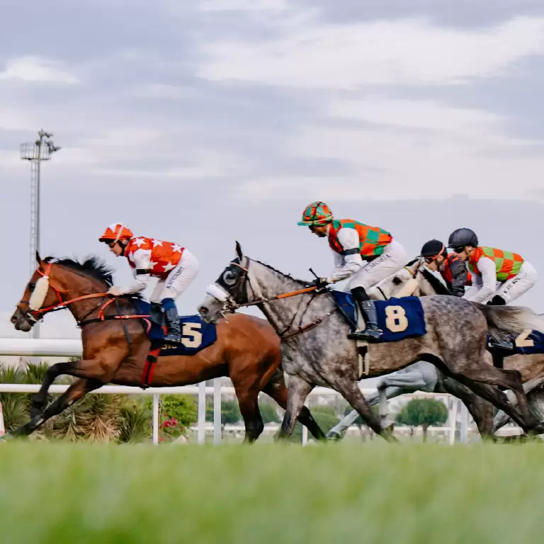 The Garden at Abu Dhabi Turf Club