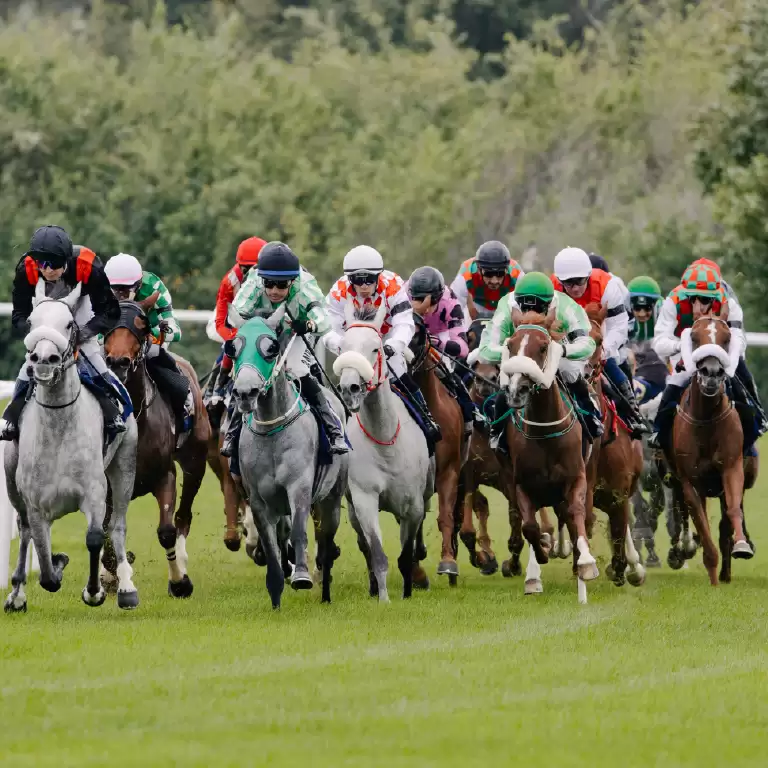 The Garden at Abu Dhabi Turf Club