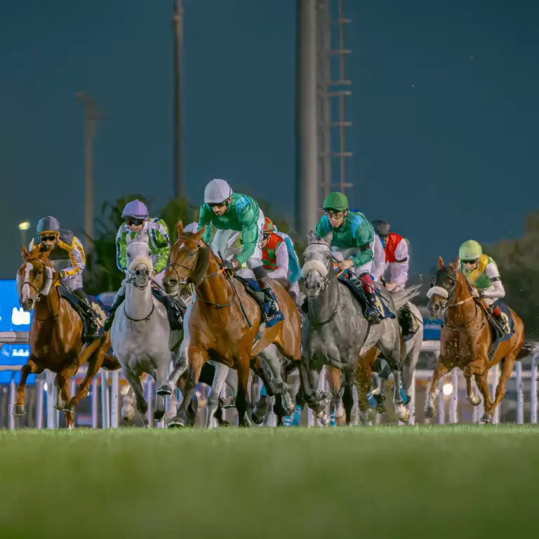 The Garden at Abu Dhabi Turf Club