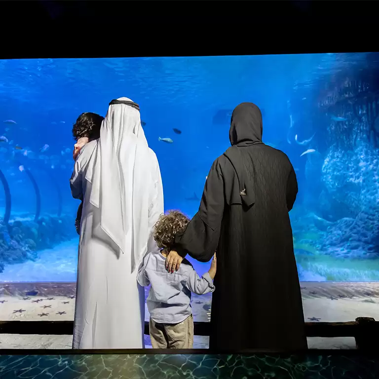 The National Aquarium Abu Dhabi