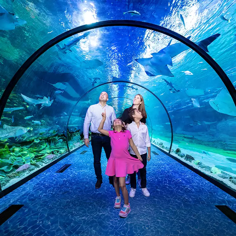 The National Aquarium Abu Dhabi