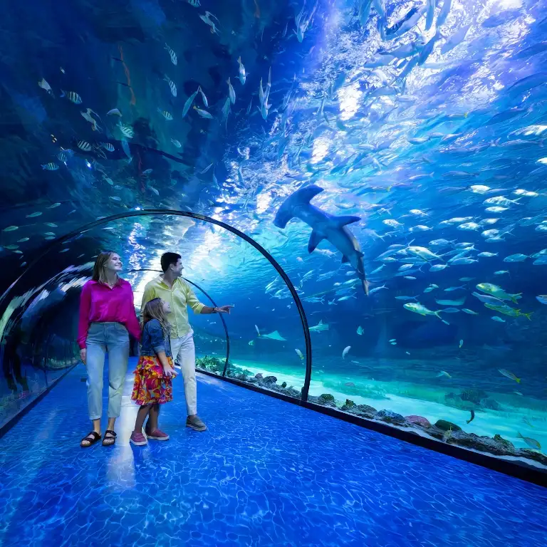 The National Aquarium Abu Dhabi