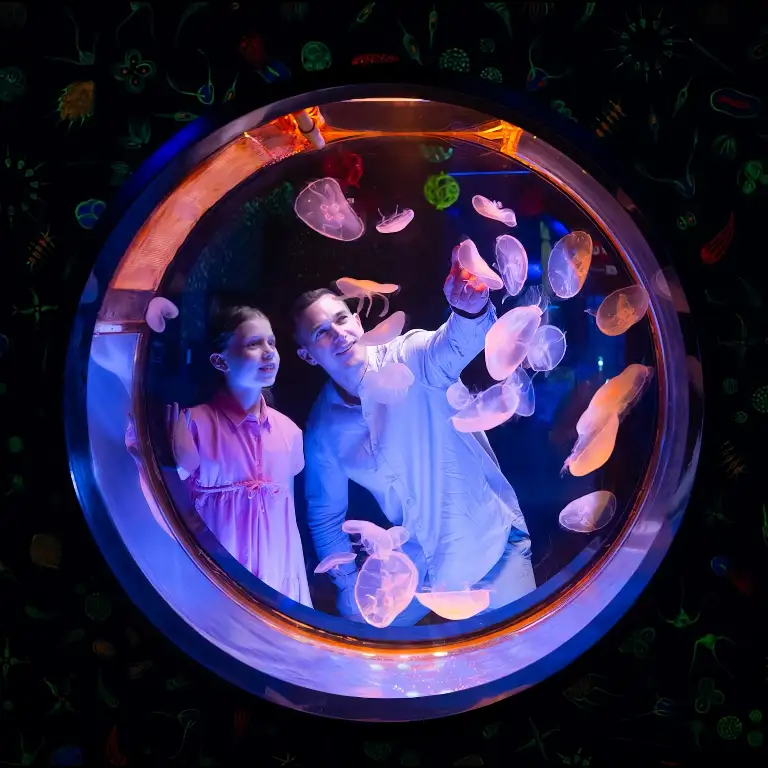 The National Aquarium Abu Dhabi