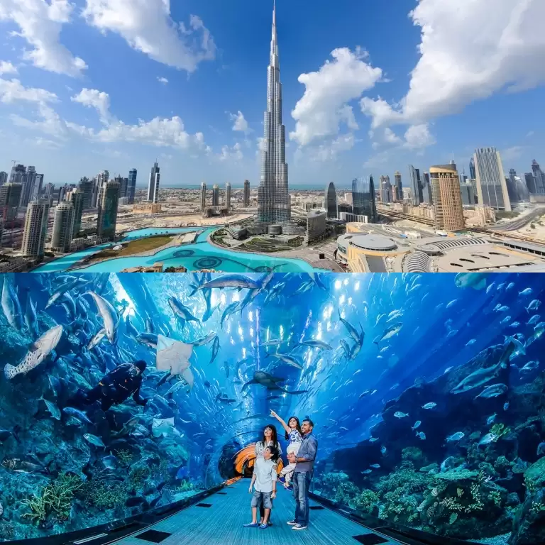 At the Top, Burj Khalifa and Dubai Aquarium
