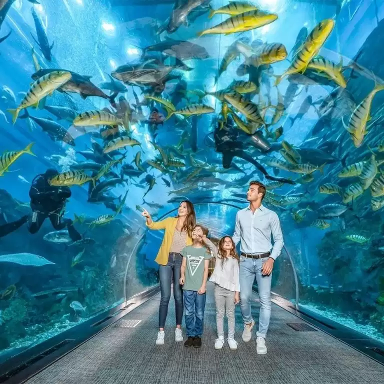 At the Top, Burj Khalifa and Dubai Aquarium