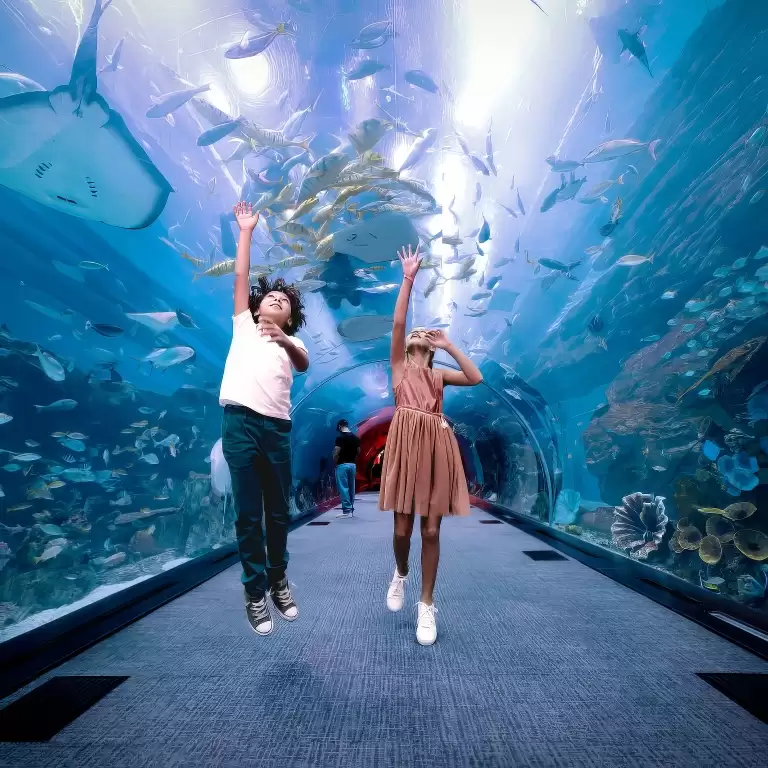 At the Top, Burj Khalifa and Dubai Aquarium