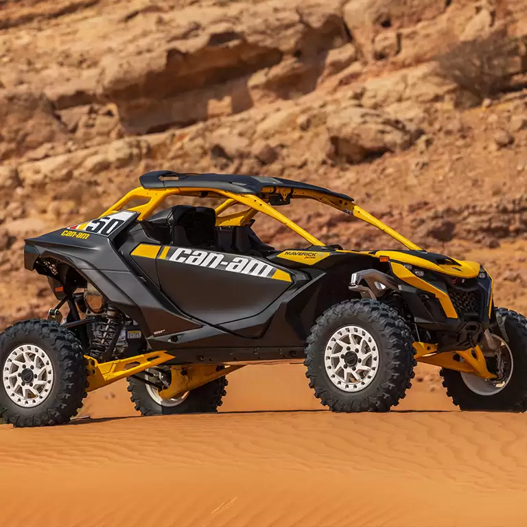 Big Red Adventure Tours: Dune Buggy in Dubai