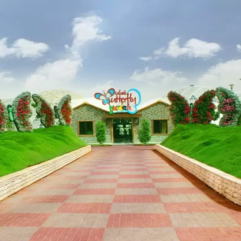 Combo: Global Village + Butterfly Garden