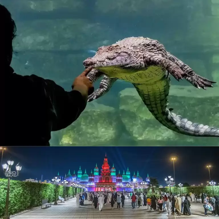 Combo: Global Village + Dubai Crocodile Park