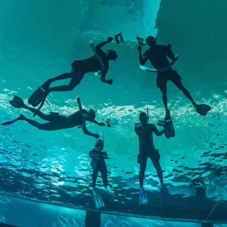 Deep Dive Dubai Surface Snorkeling Experience