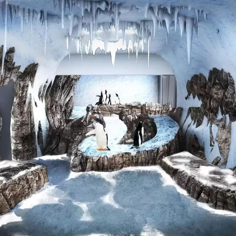 Dubai Aquarium & Underwater Zoo - Penguin Encounter