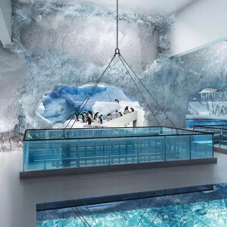 Dubai Aquarium & Underwater Zoo - Penguin Encounter