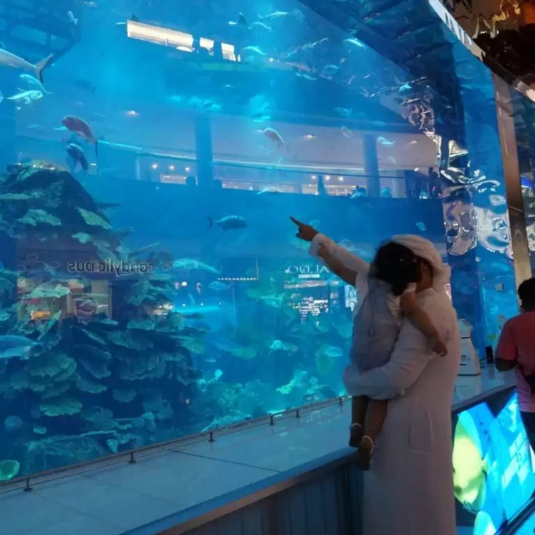 Dubai Aquarium & Underwater Zoo - Ray Encounter