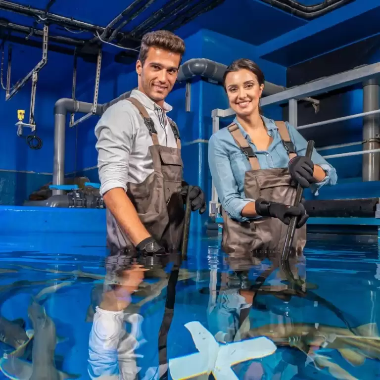 Dubai Aquarium & Underwater Zoo - Shark Trainer Encounter