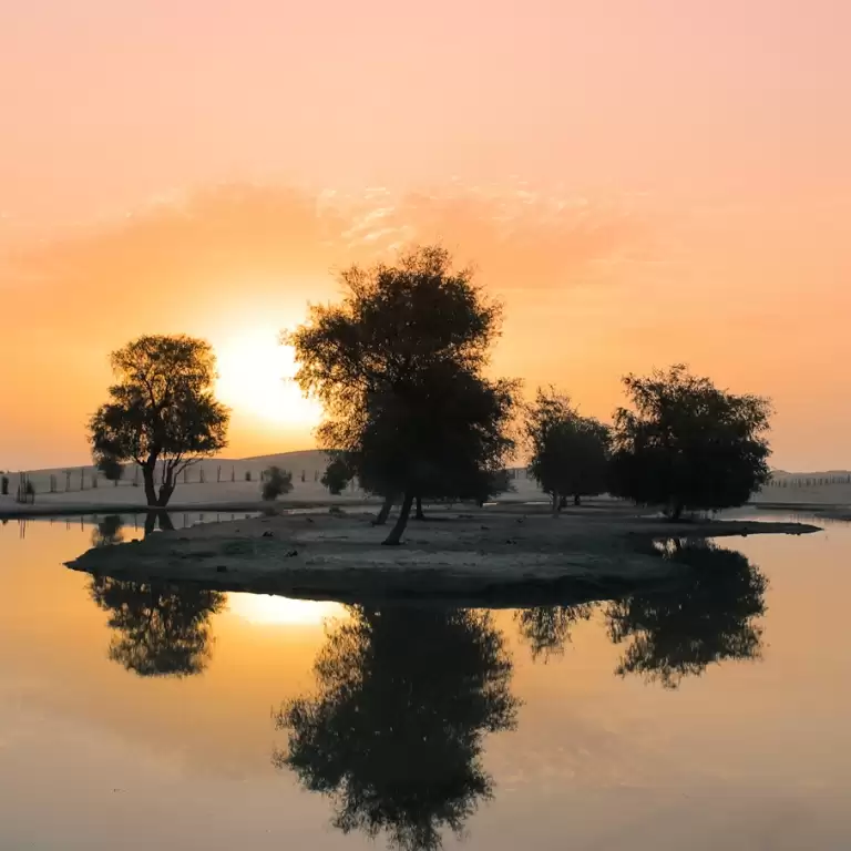 Dubai: Morning Heritage Safari by Vintage G-Class & Al Marmoom Oasis