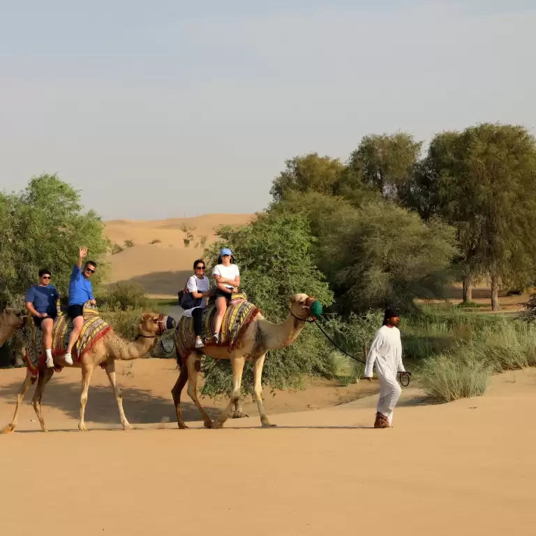 Dubai: Morning Heritage Safari by Vintage G-Class & Al Marmoom Oasis