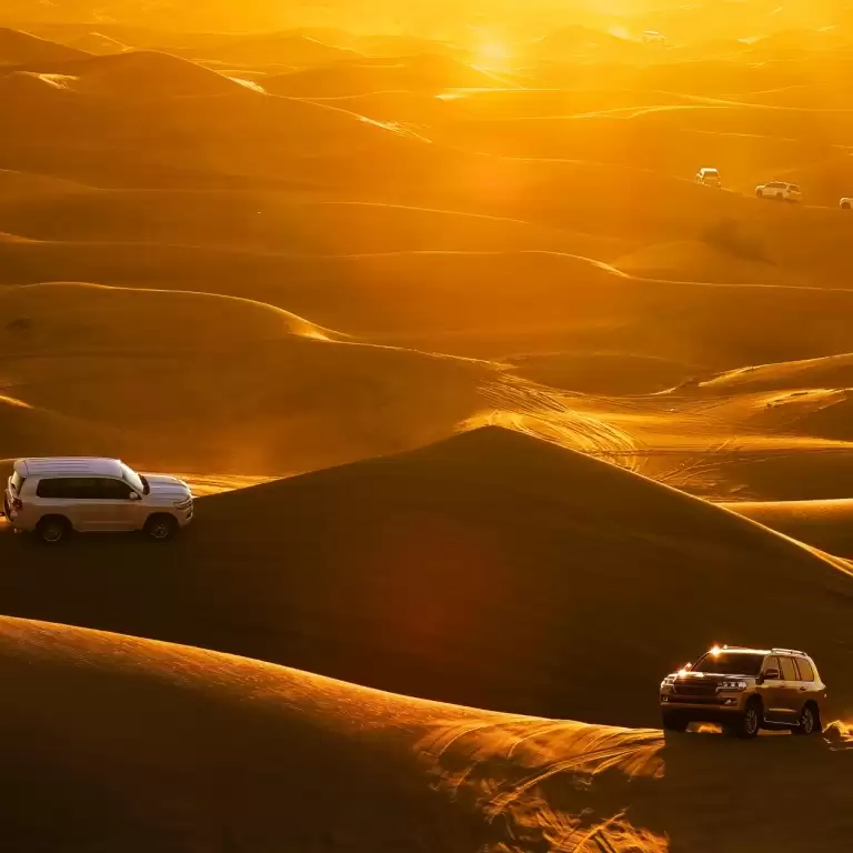 Dubai Red Dunes Desert Safari, Dune Bashing, Shows And BBQ Dinner