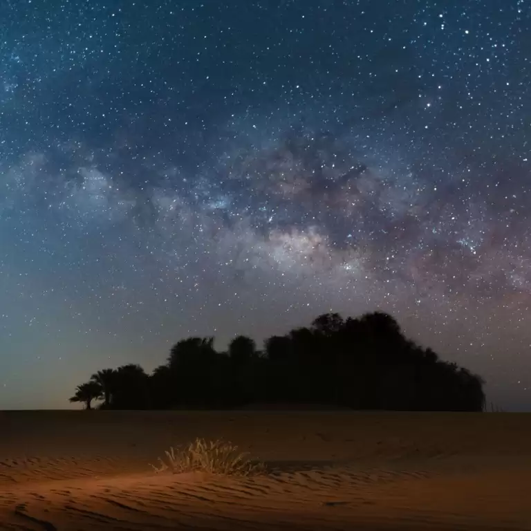 Dubai Red Dunes Desert Safari, Dune Bashing, Shows And BBQ Dinner