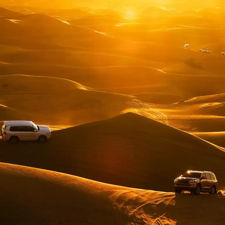 Dubai Red Dunes Desert Safari, Dune Bashing, Shows And BBQ Dinner