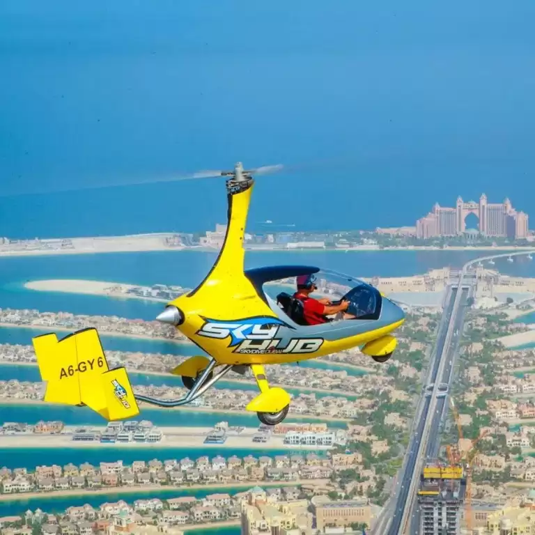 Gyrocopter Flight