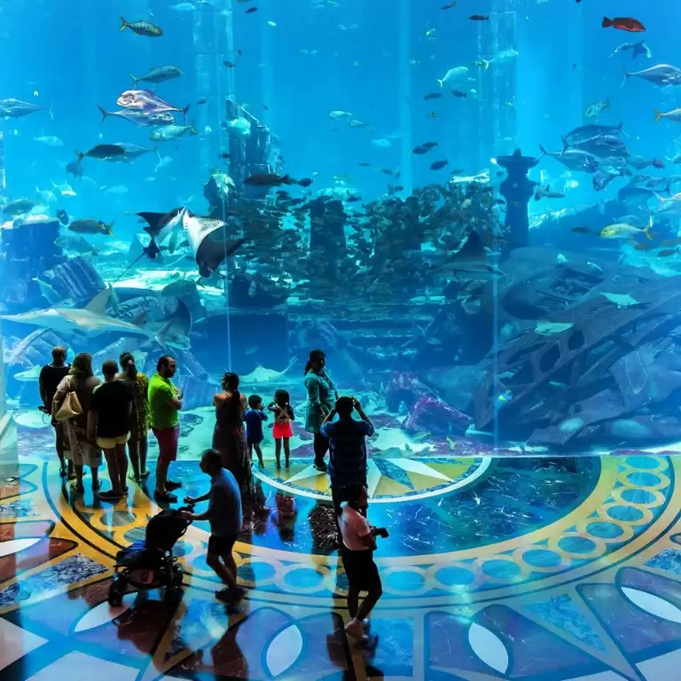Lost Chambers Aquarium