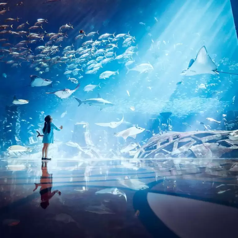 Lost Chambers Aquarium