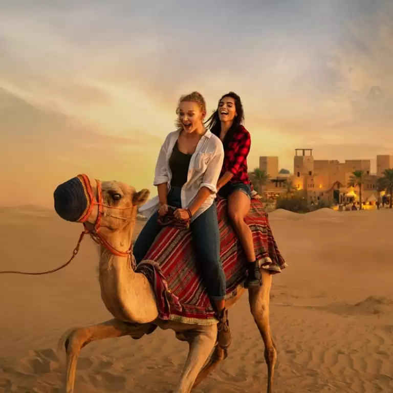 Luxury Sahara Desert Fortress Dinner without Dune Bashing