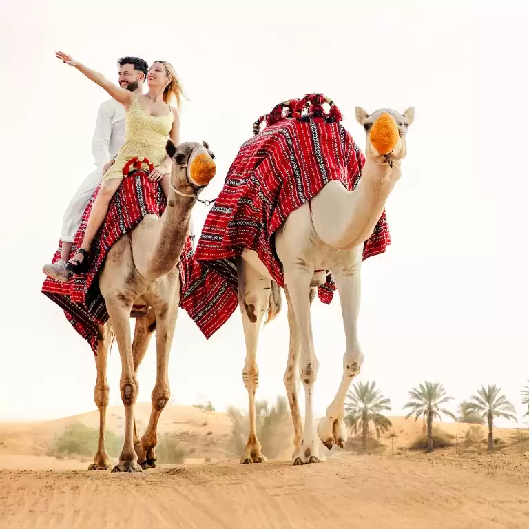 Premium Adventure Balloon Flight with camel ride and Breakfast