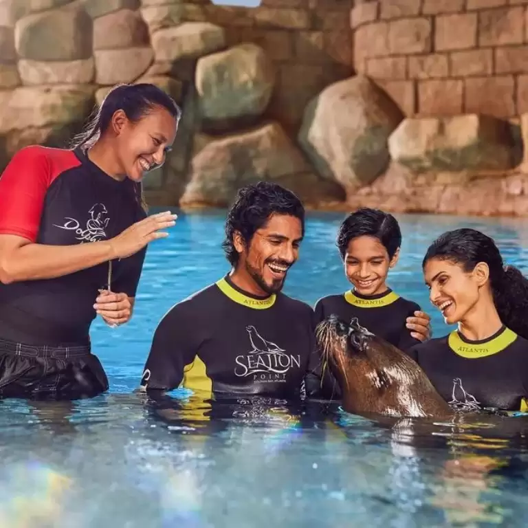 Sea Lion Experiences at Atlantis The Palm