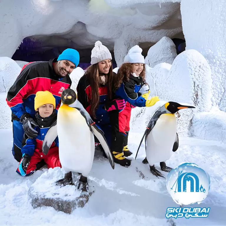 Ski Dubai: Snow Premium with Penguin Encounter