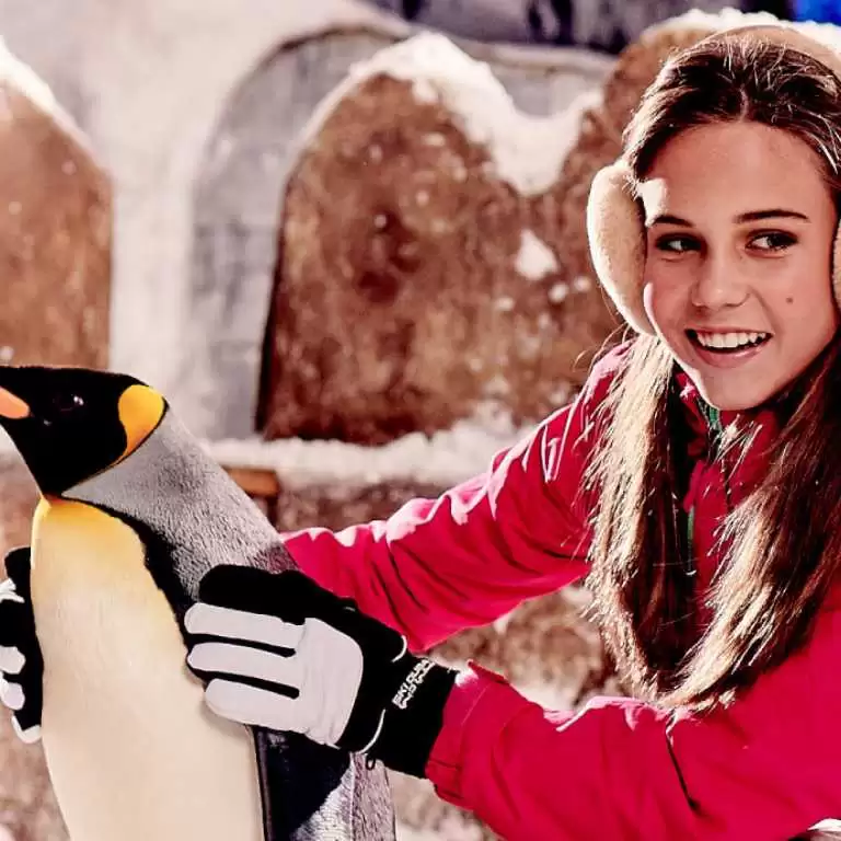 Ski Dubai: Snow Premium with Penguin Encounter