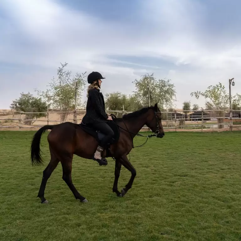 Sunset Horse Riding at Al Marmoom Oasis with a 6-Course Bedouin Dinner