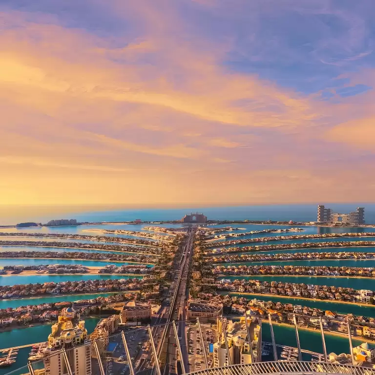 The View at The Palm - Fast Track + Next Level - Prime Hours