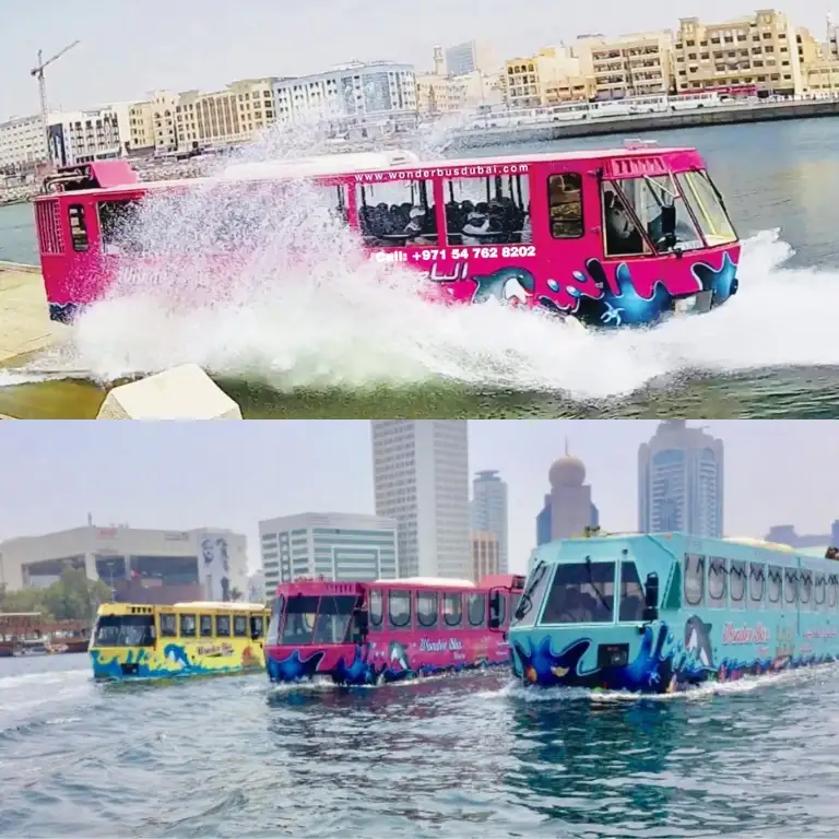 Random Bus Tour Wonder Bus Tour - DubaiThingsToDo