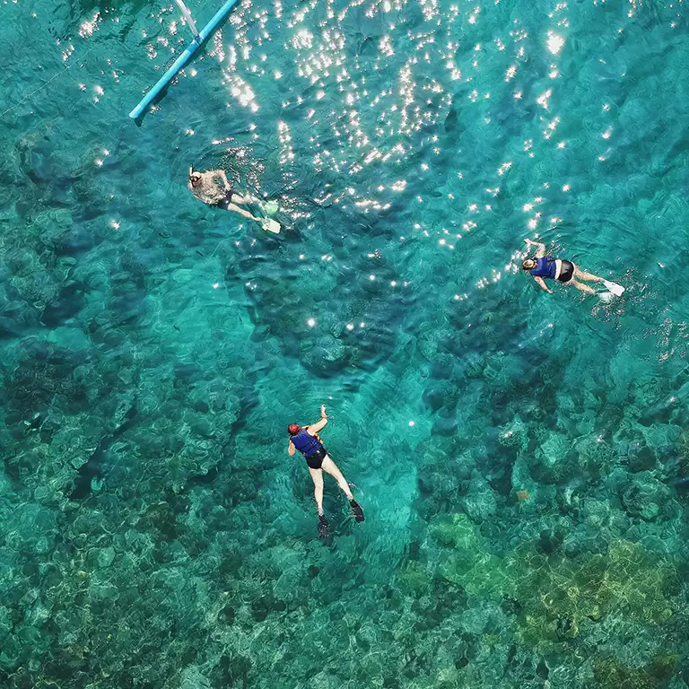 Dive & Snorkel Trips in Fujairah