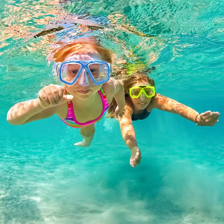 Dive & Snorkel Trips in Fujairah