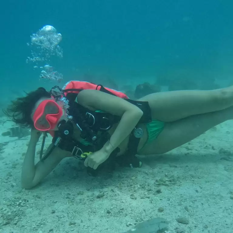 Dive & Snorkel Trips in Fujairah