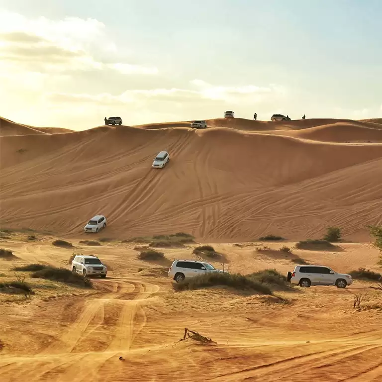 Desert Safari in RAK: Dune Bashing, Sand Boarding and a Camel Ride