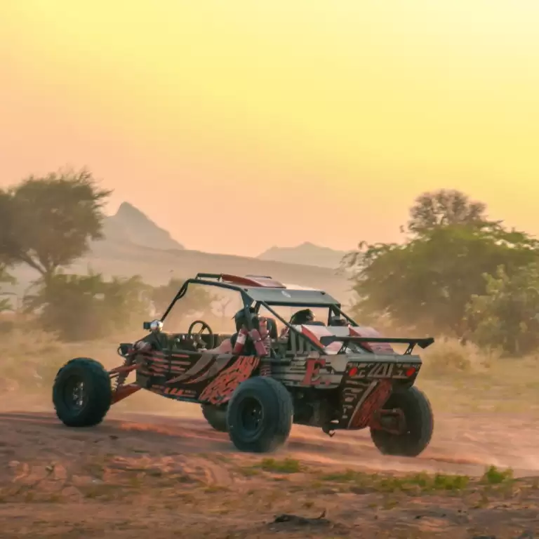 Dune Buggy Experience with Optional BBQ dinner