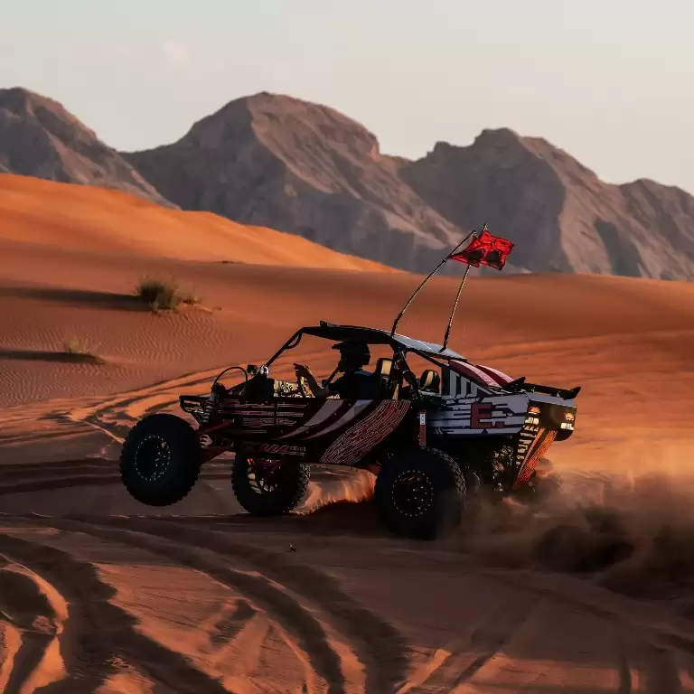 Dune Buggy Experience with Optional BBQ dinner