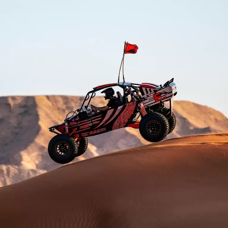 Private Dinner in the desert with optional Buggy Experience