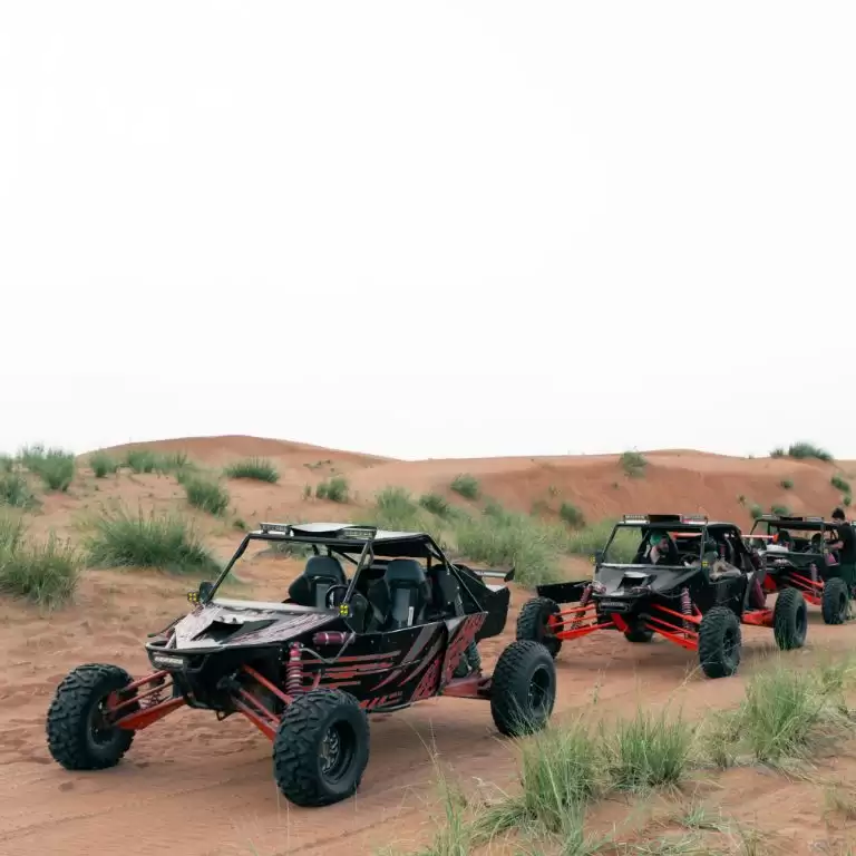 Private Dinner in the desert with optional Buggy Experience
