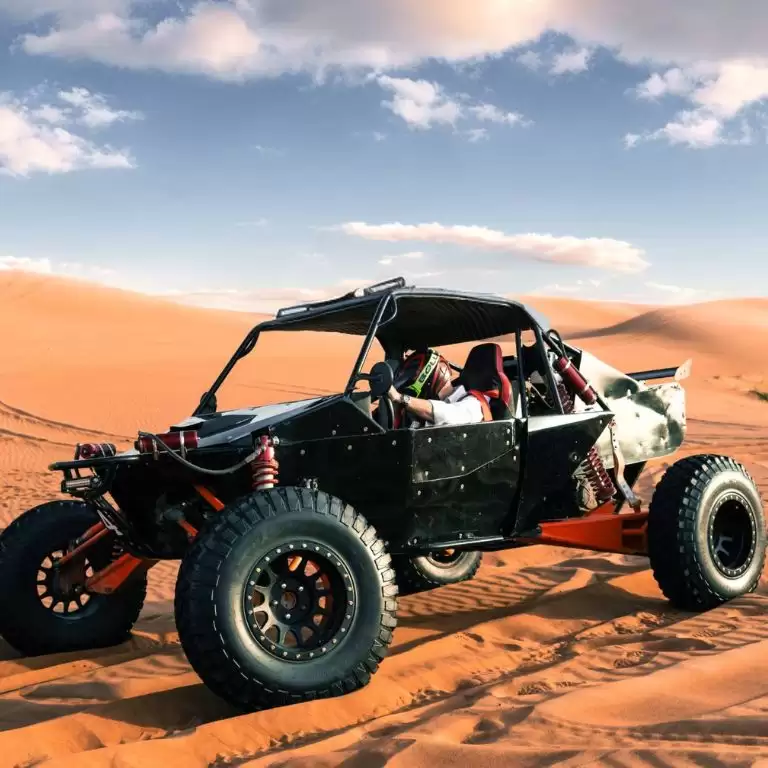 Private Dinner in the desert with optional Buggy Experience