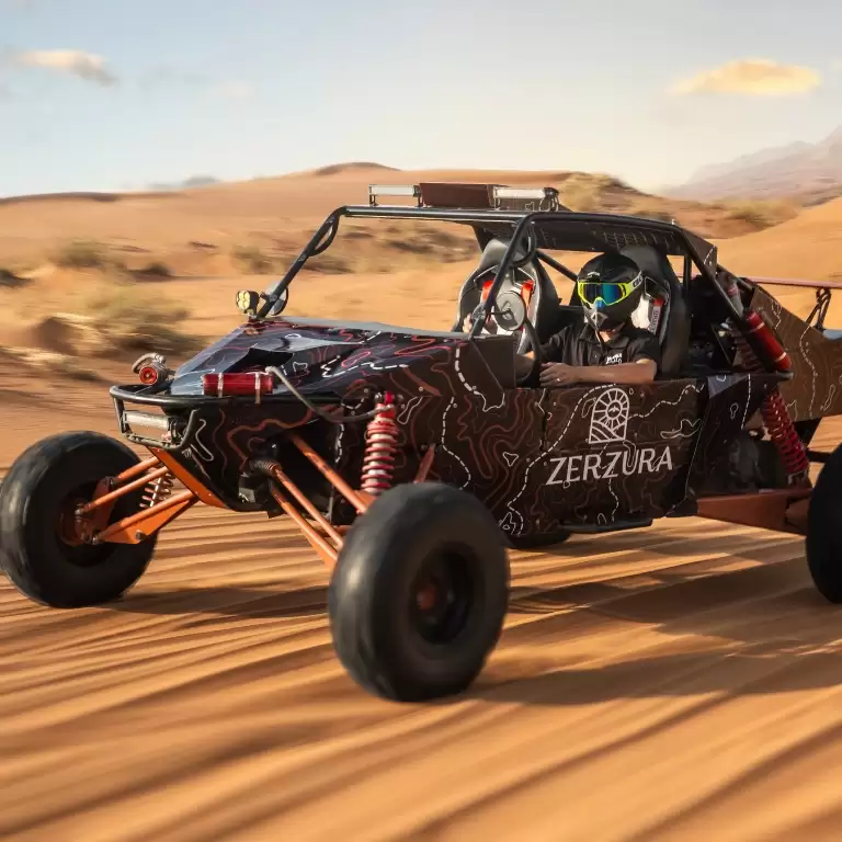 Private Dinner in the desert with optional Buggy Experience