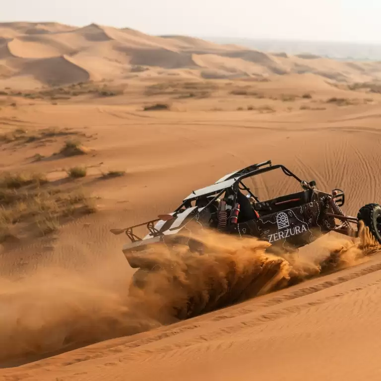 Private Dinner in the desert with optional Buggy Experience