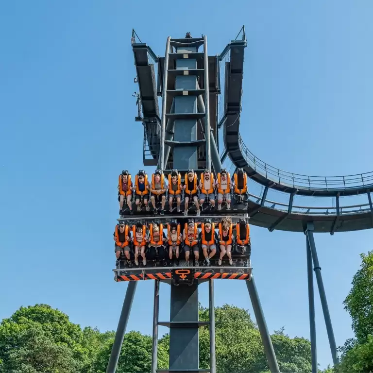 Alton Towers Entry Ticket